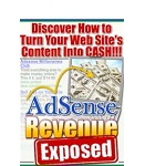 Adsense Revenue
